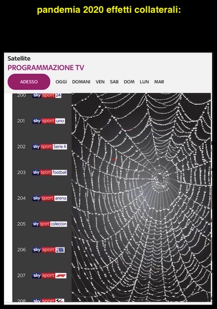 pandemia_2020_effetti_collaterali