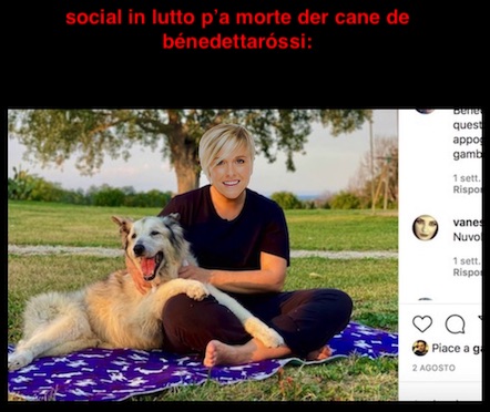 social_in_lutto_morte_cane_bénedettaróssi