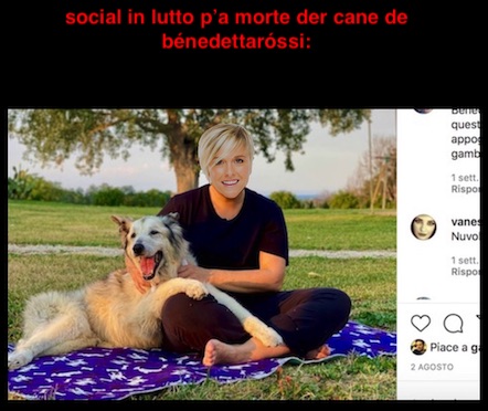 social_in_lutto_morte_cane_bénedettaróssi